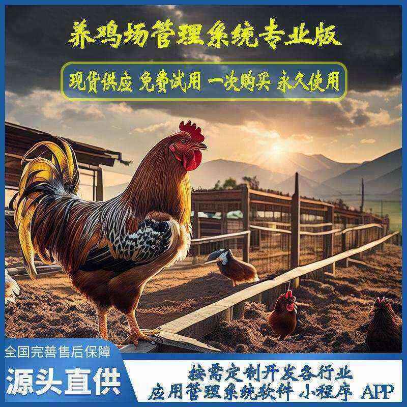 養雞場管理系統專業版現貨供應免費試用按需定制開發畜牧業軟件小程序